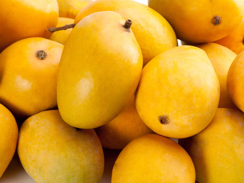 Alphonso Mango